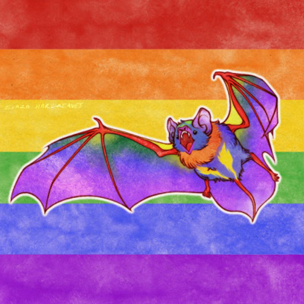 Bat Plush