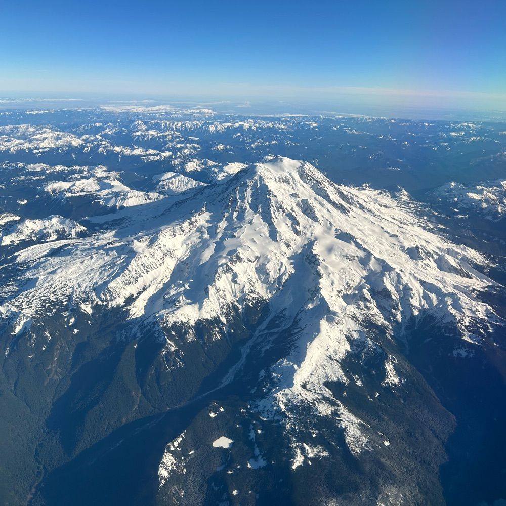 Seattle Alt-In-The-Wild