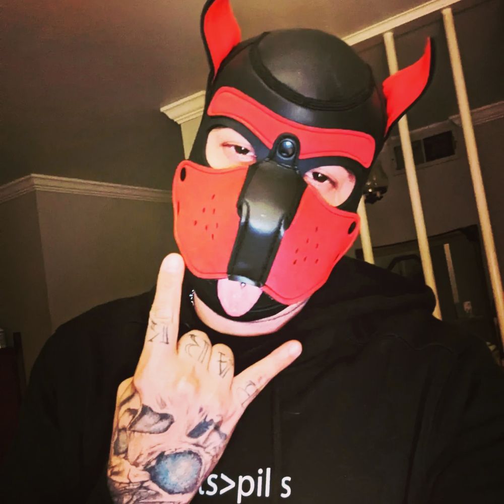 Pup Major