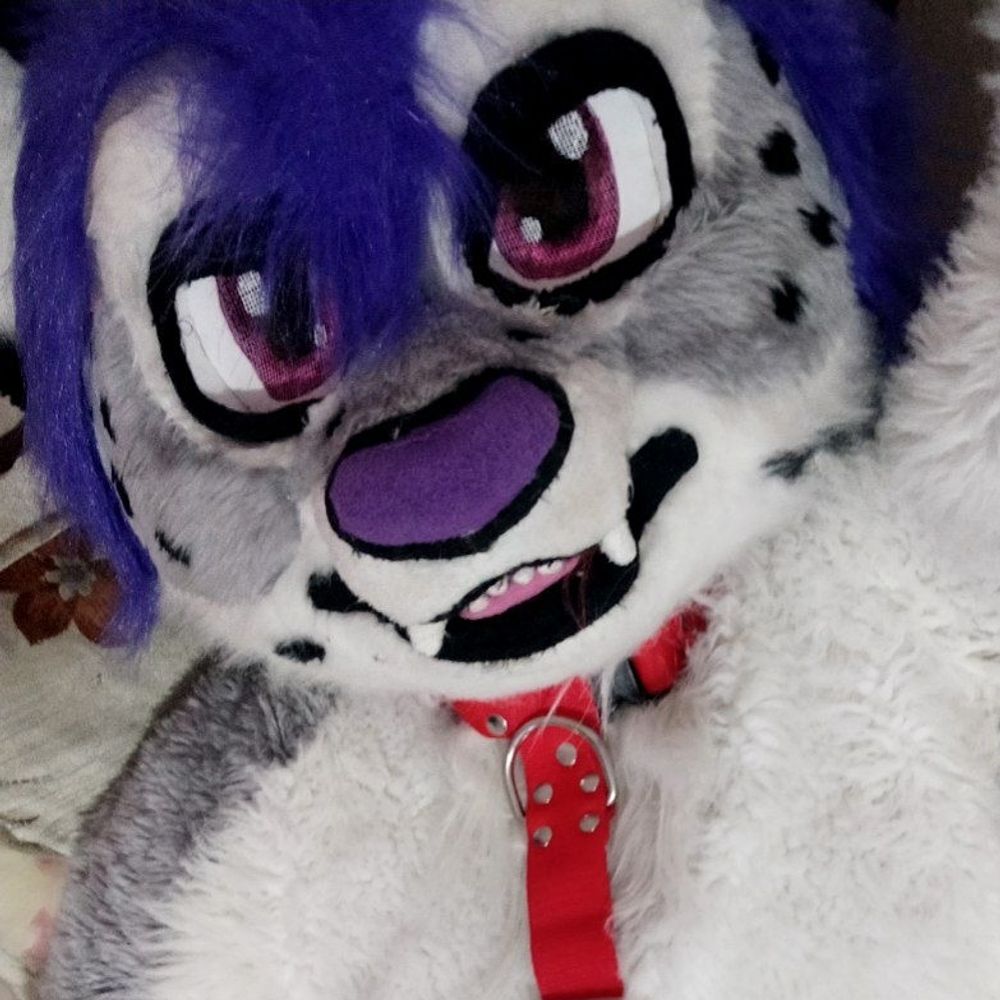 𝑩𝒊𝒈 𝑫𝒂𝒅𝒅𝒚 𝑺𝒏𝒆𝒑~