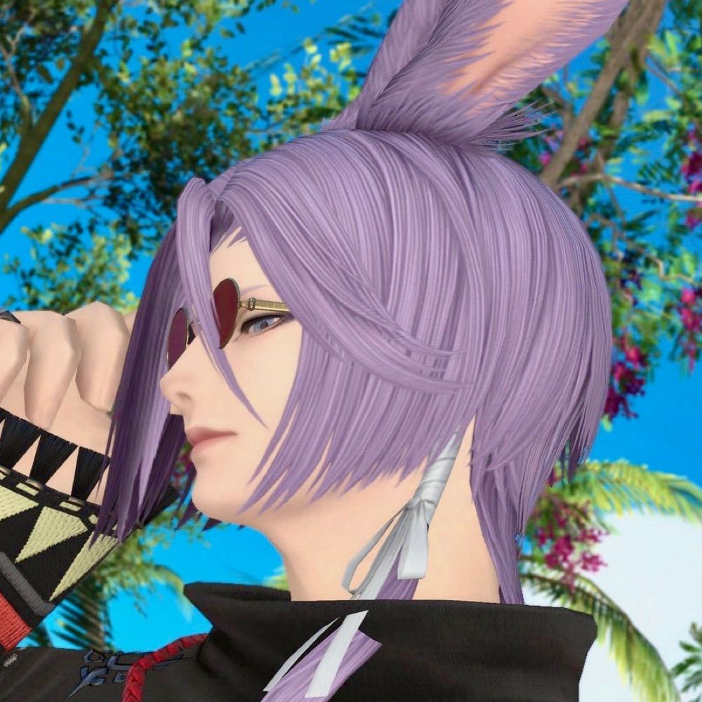 Gil🐇