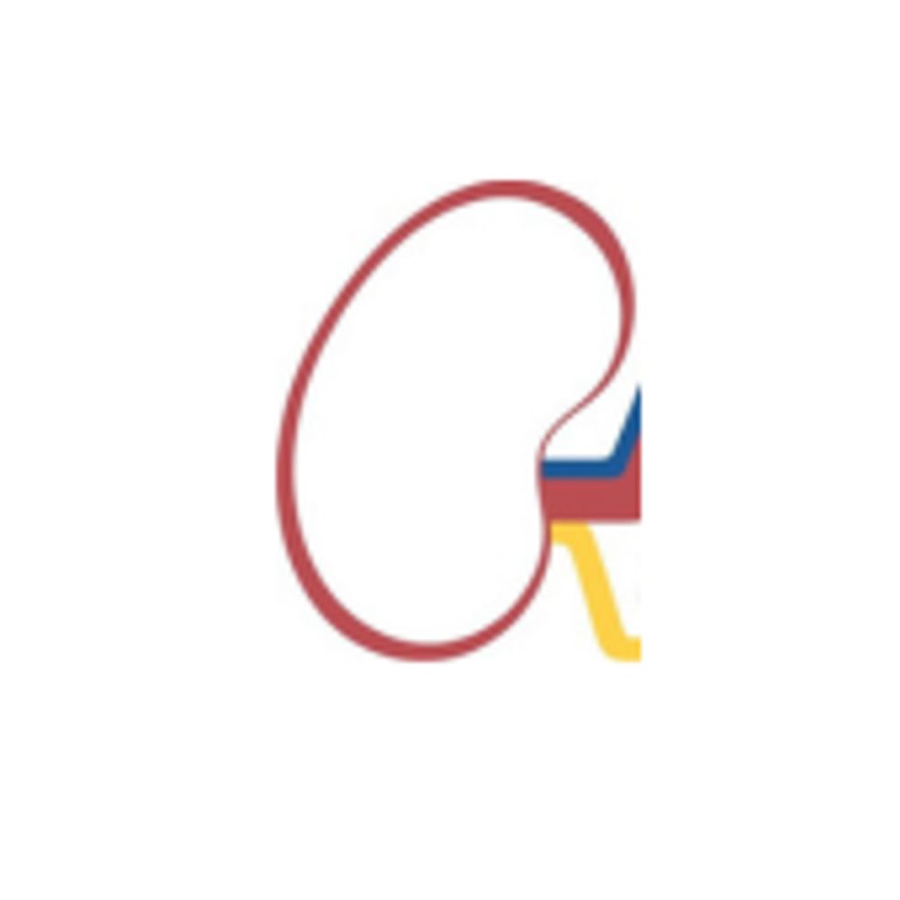 American College of Veterinary Nephrology-Urology