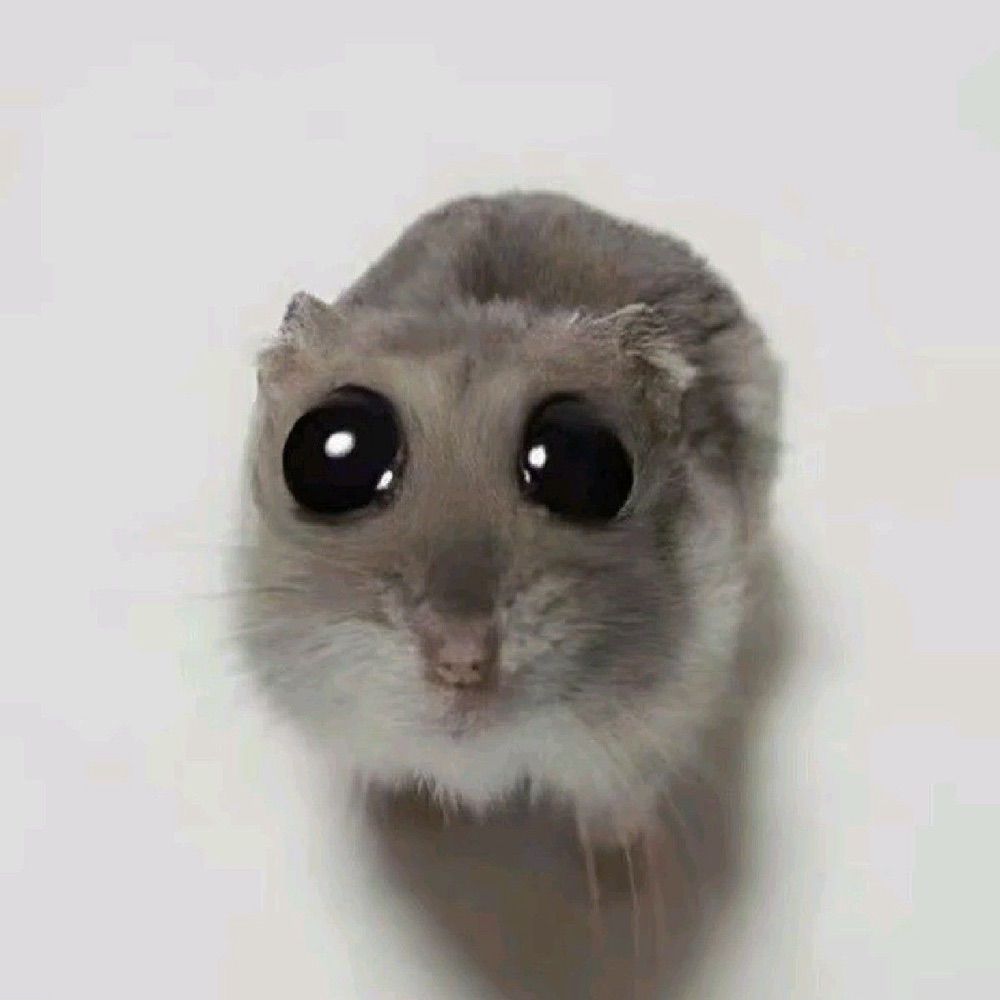 kassy
