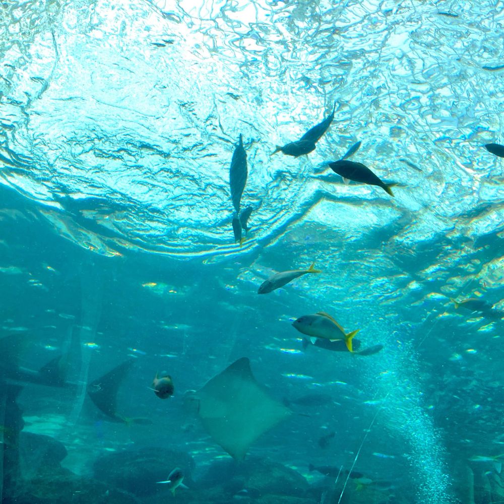 水城