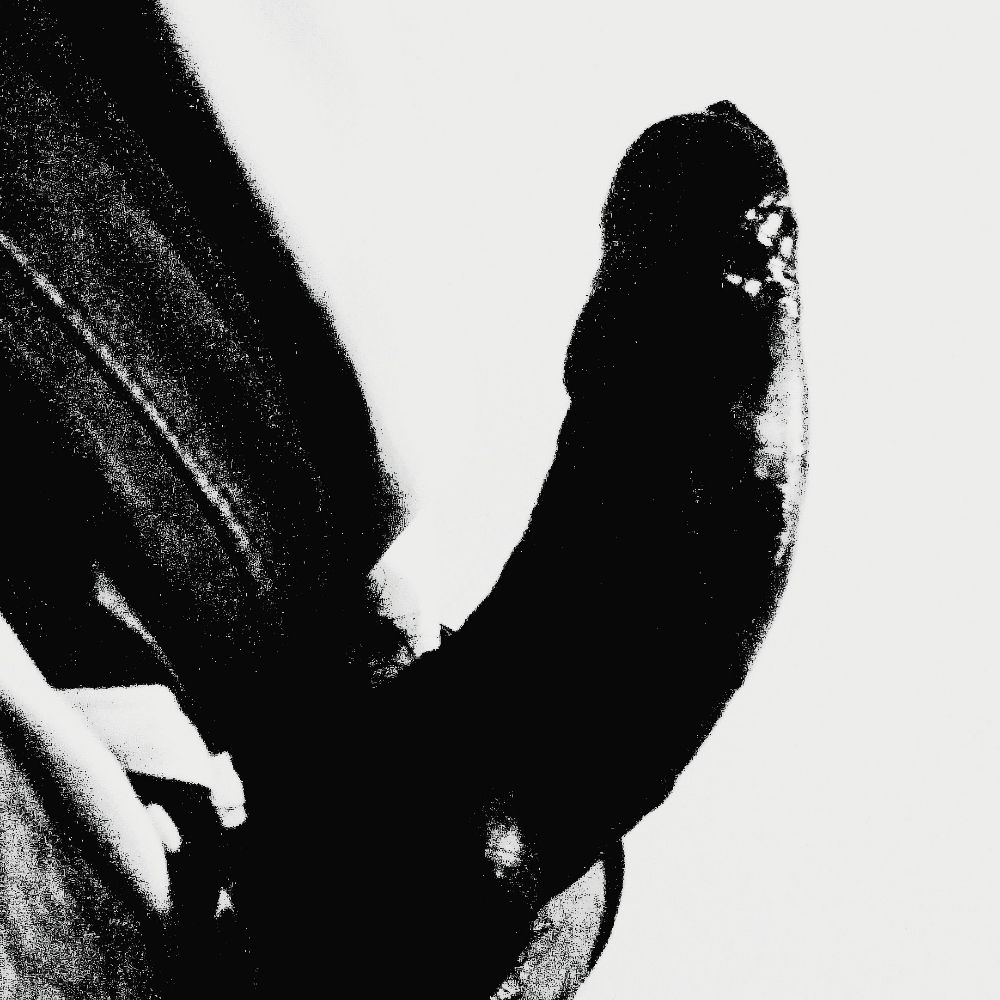 Briefs Moment