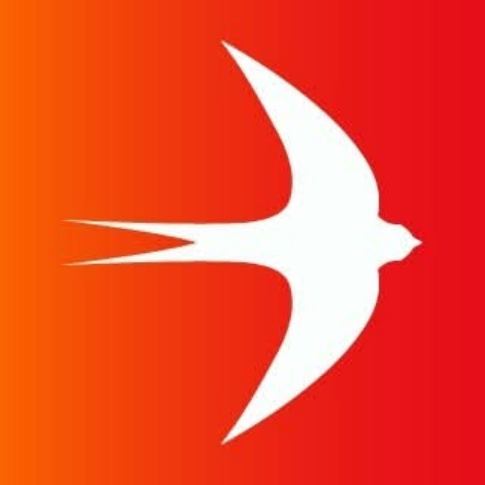 DiEM25 v Česku