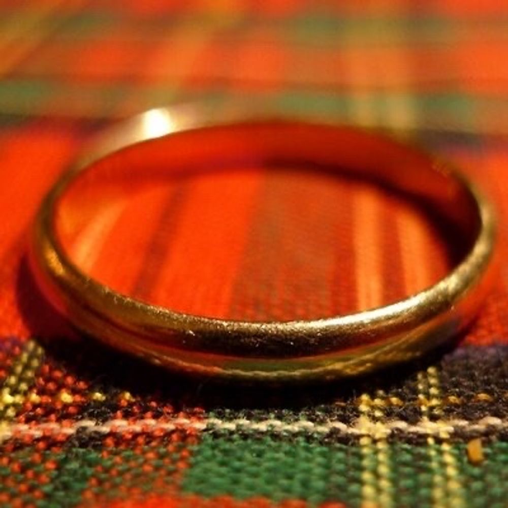 ringbug