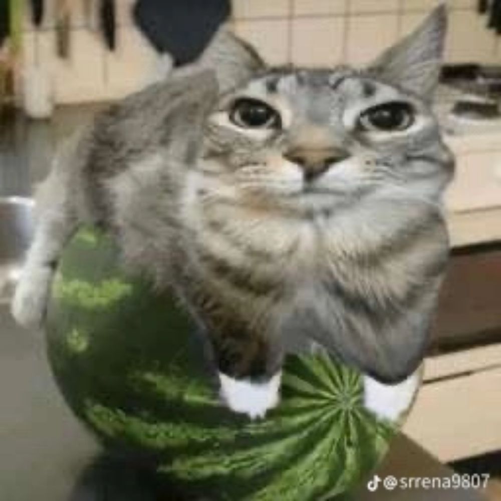 Pasteldecaune