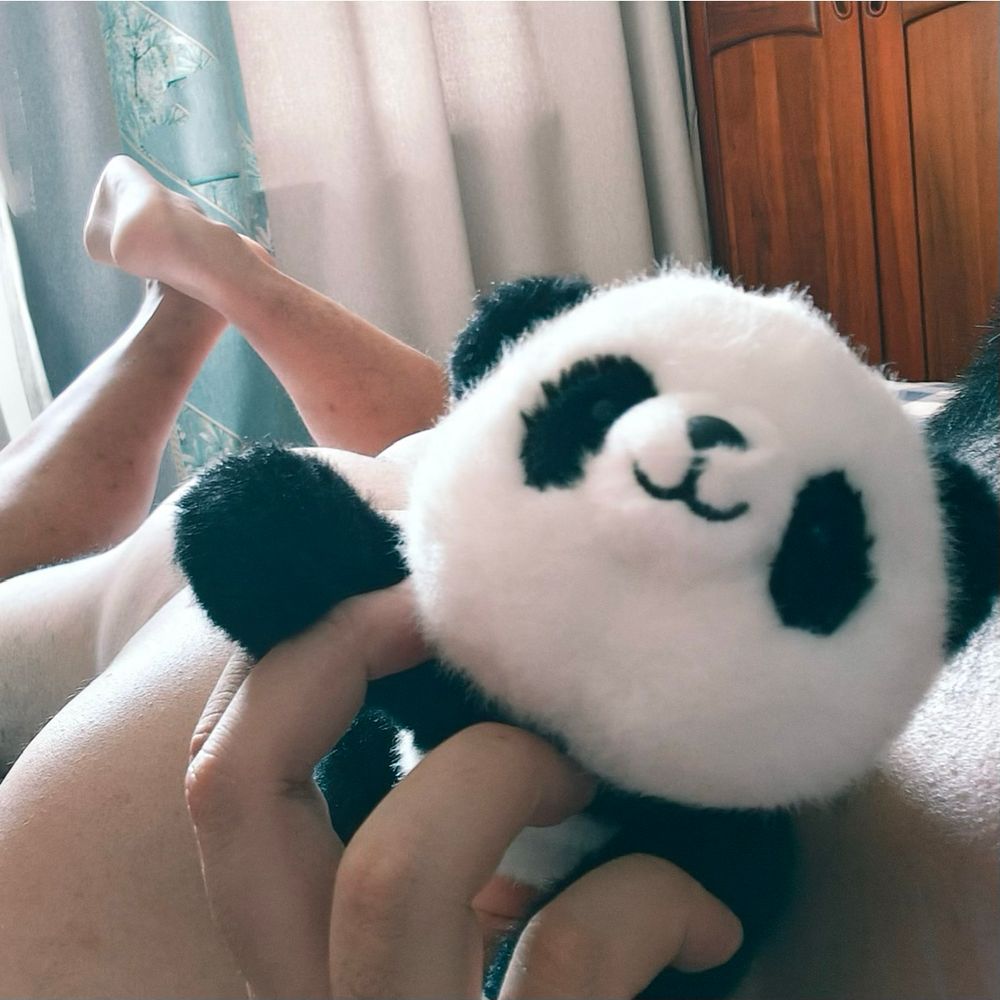 糯糯的柴老师