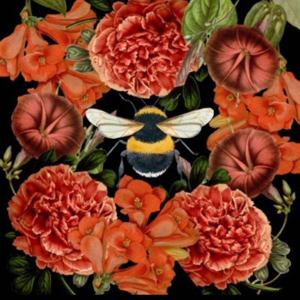 ImYourHoneyBee