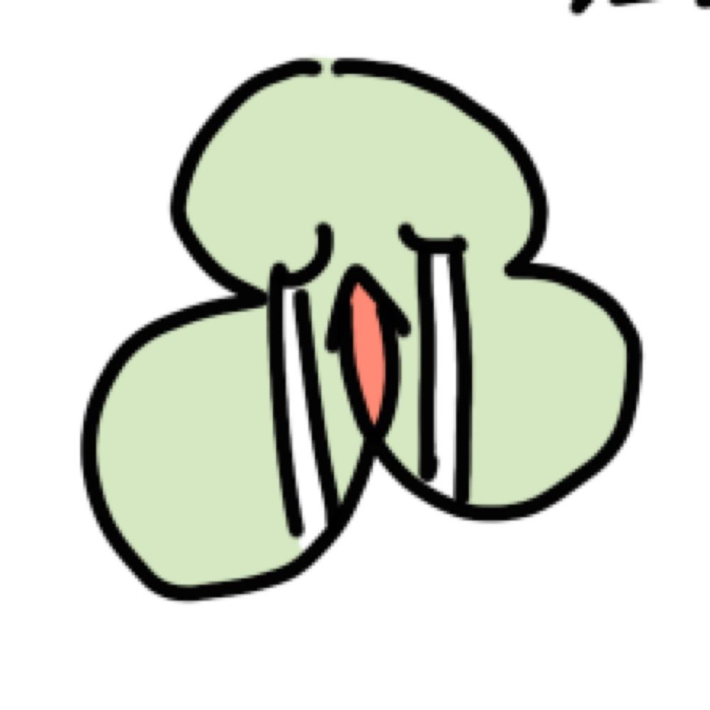 松