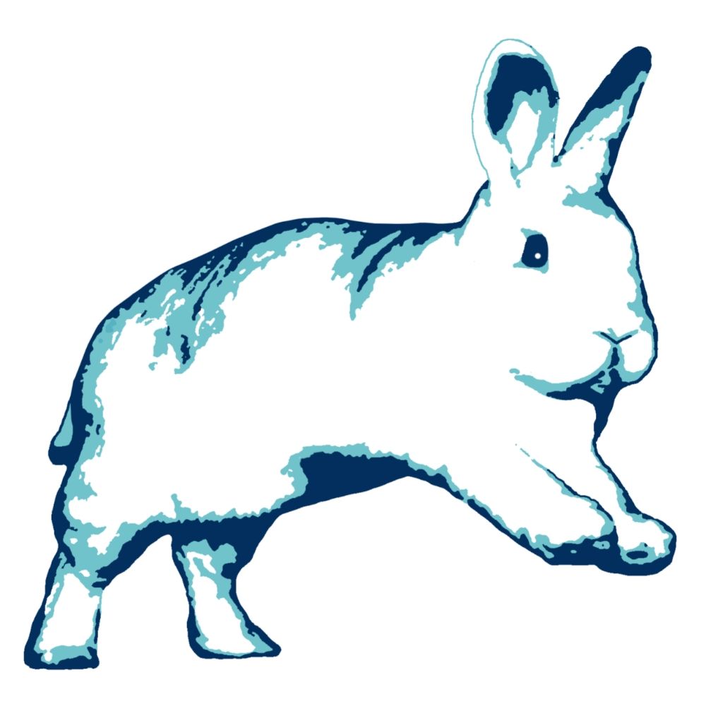 BinkyBunny