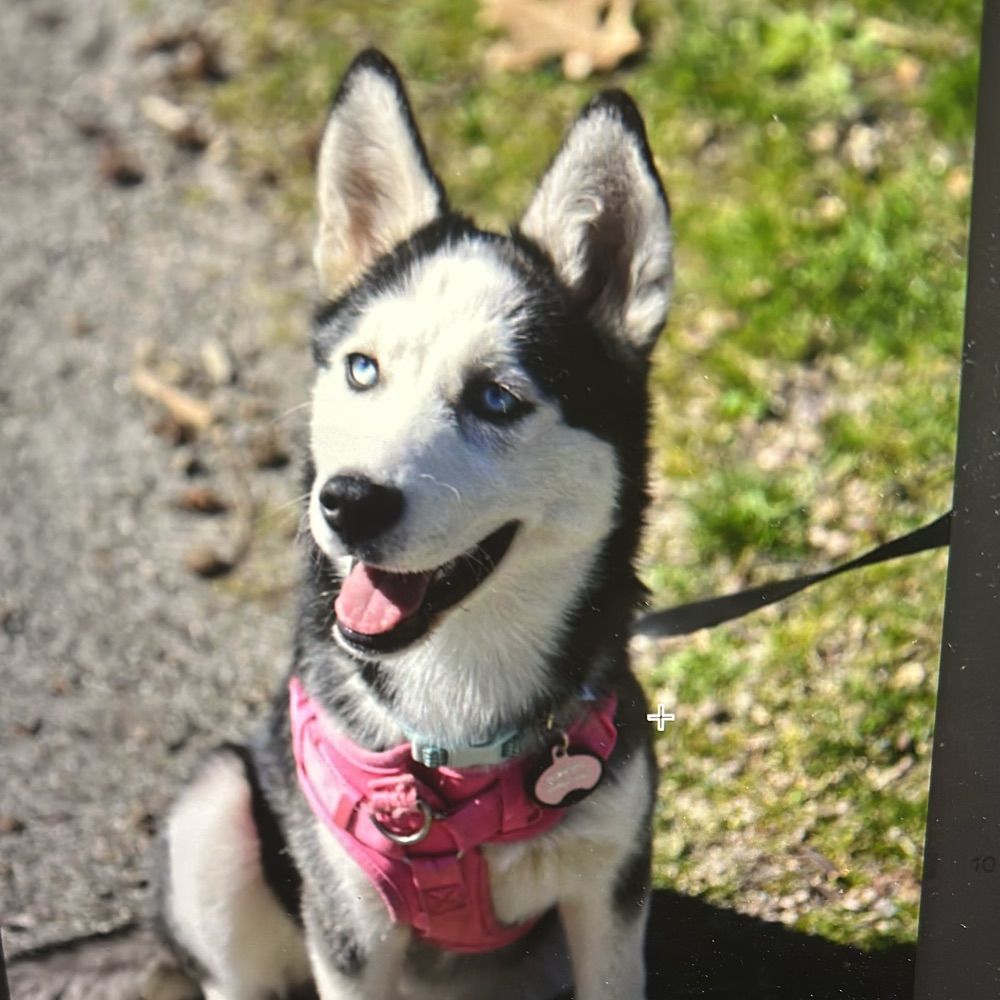 Ramona Esther Santos Torres