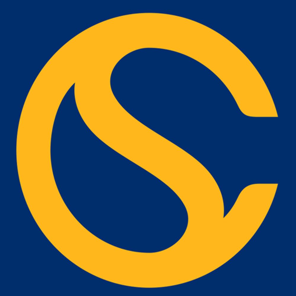 Commonwealth Sentinel Cyber Security