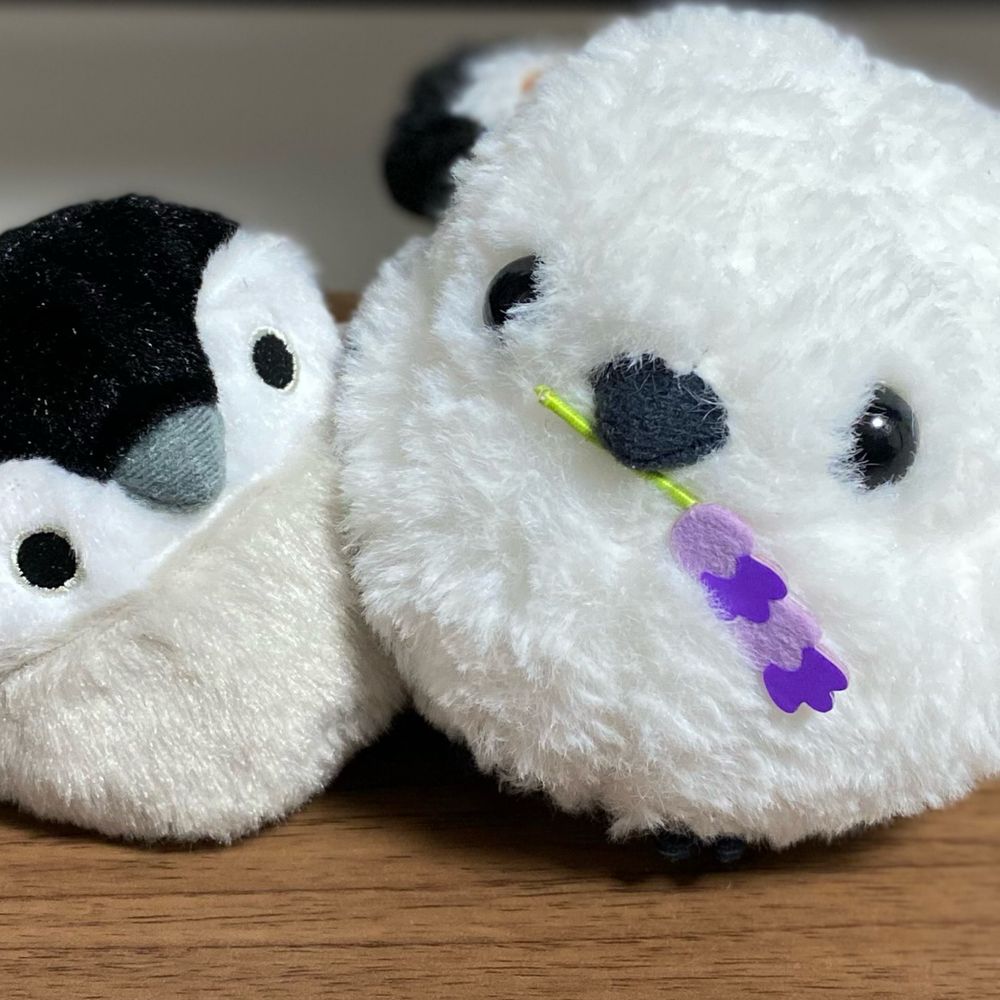 やすのん