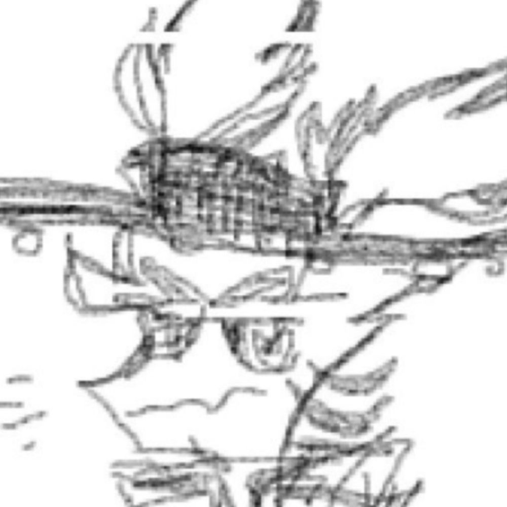 kuruza