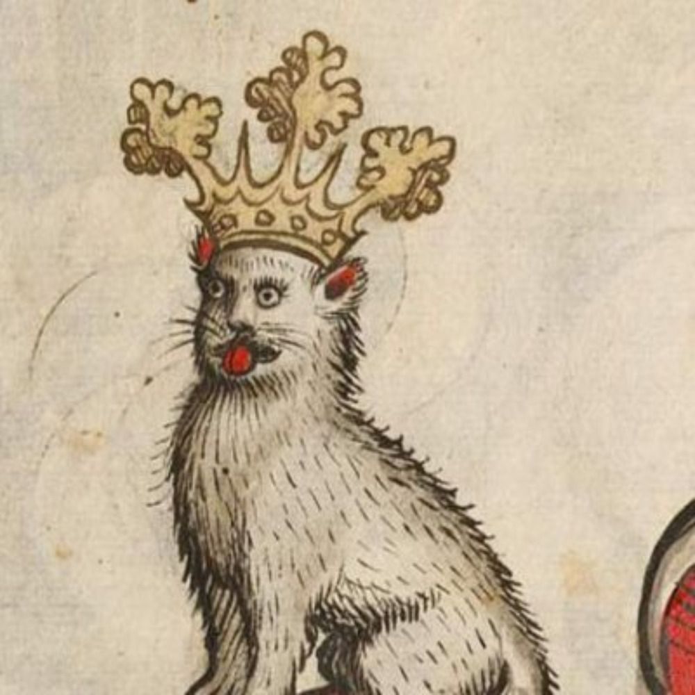 Dailymedievalcats's avatar