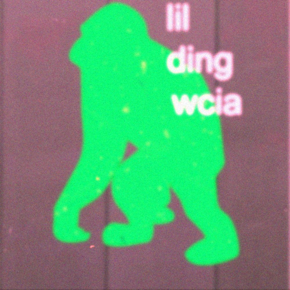 Lil Ding WCIA