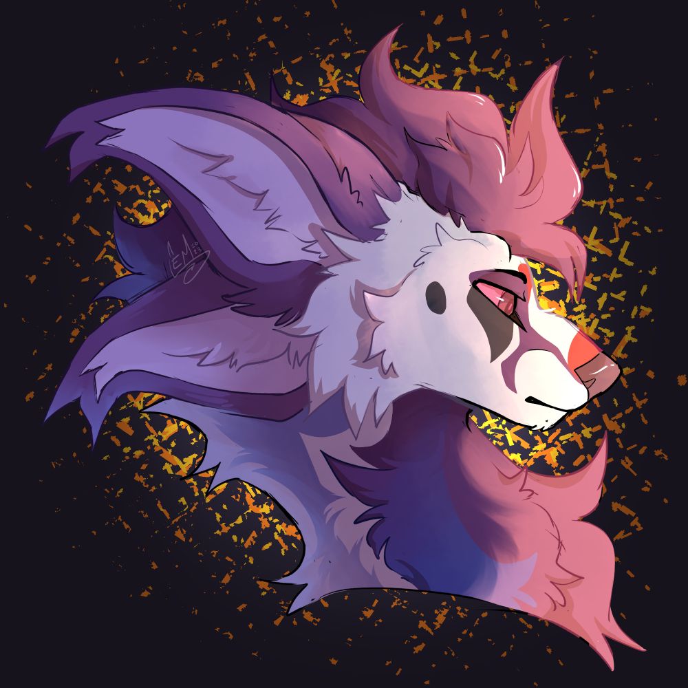 cavy