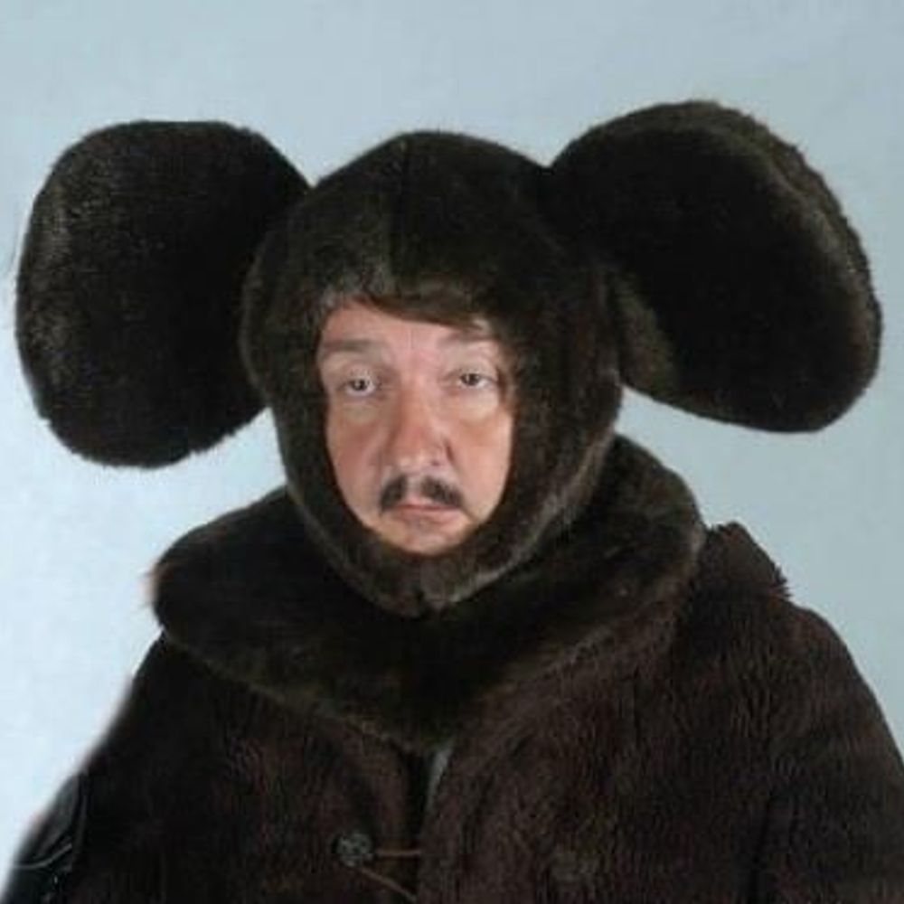 비보