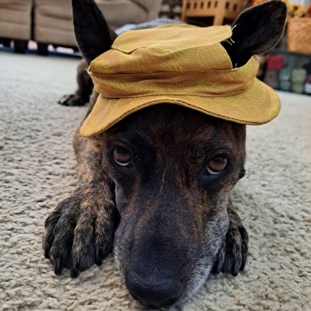 Neruda