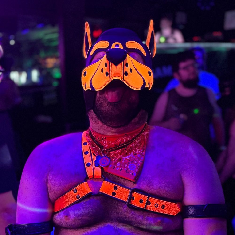 🇬🇷PupZeus⚡️