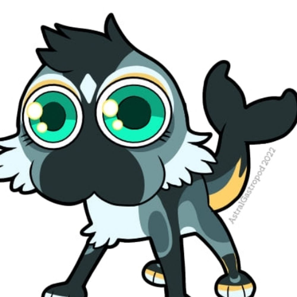 Calypso Dox