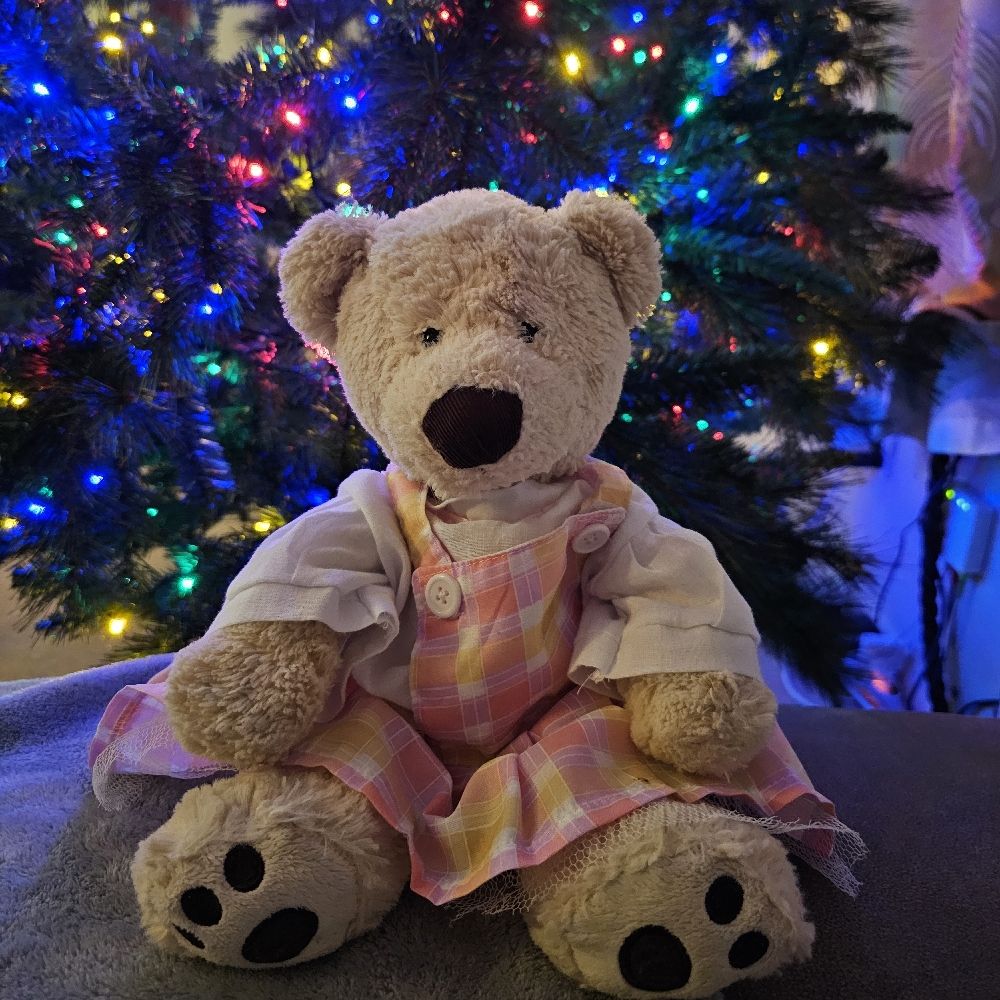 Dr Nancy Bear