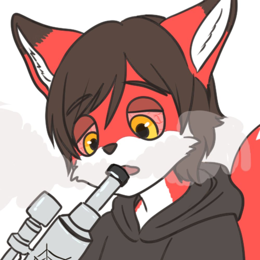 Kogey 🦊