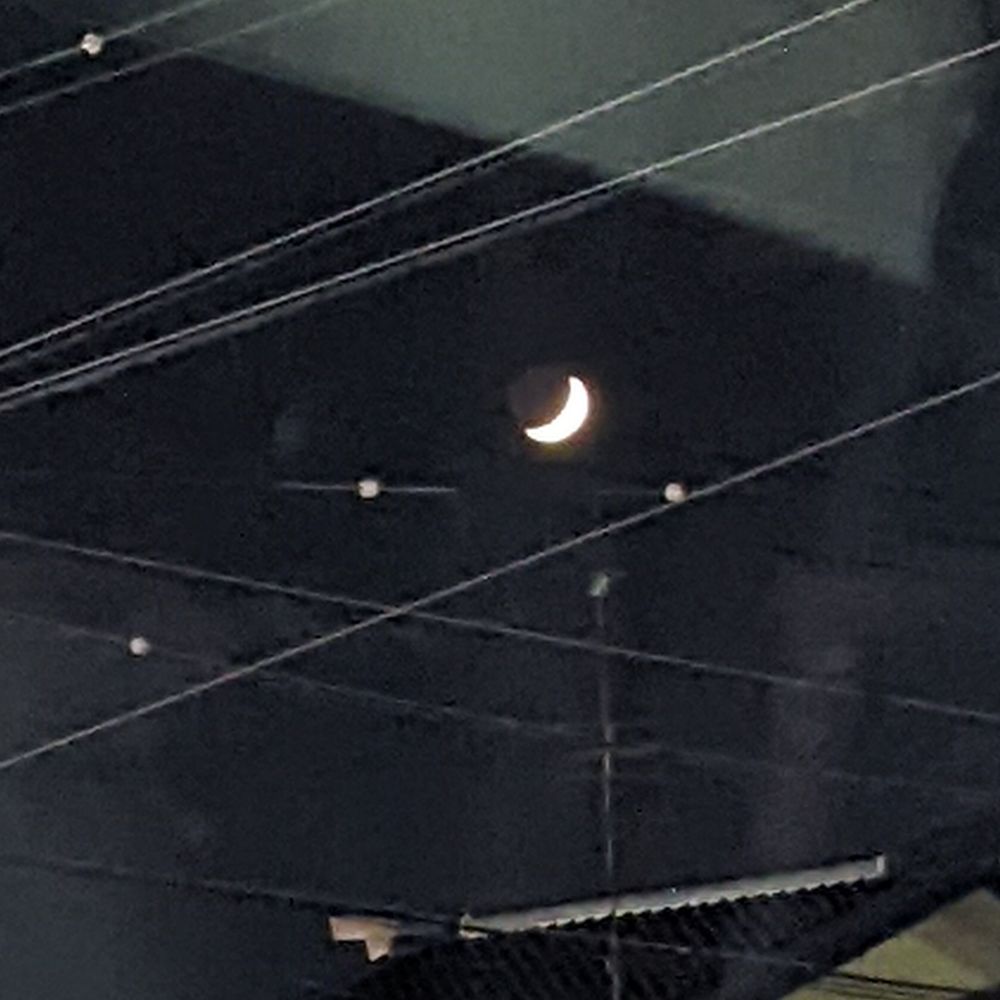 すずきた