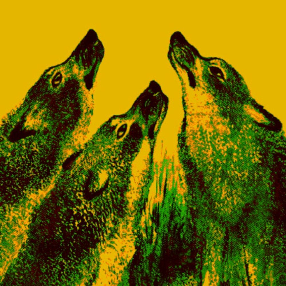 🐺🔞
