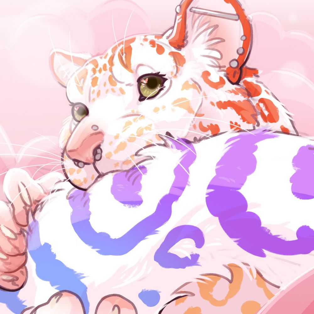 Katze