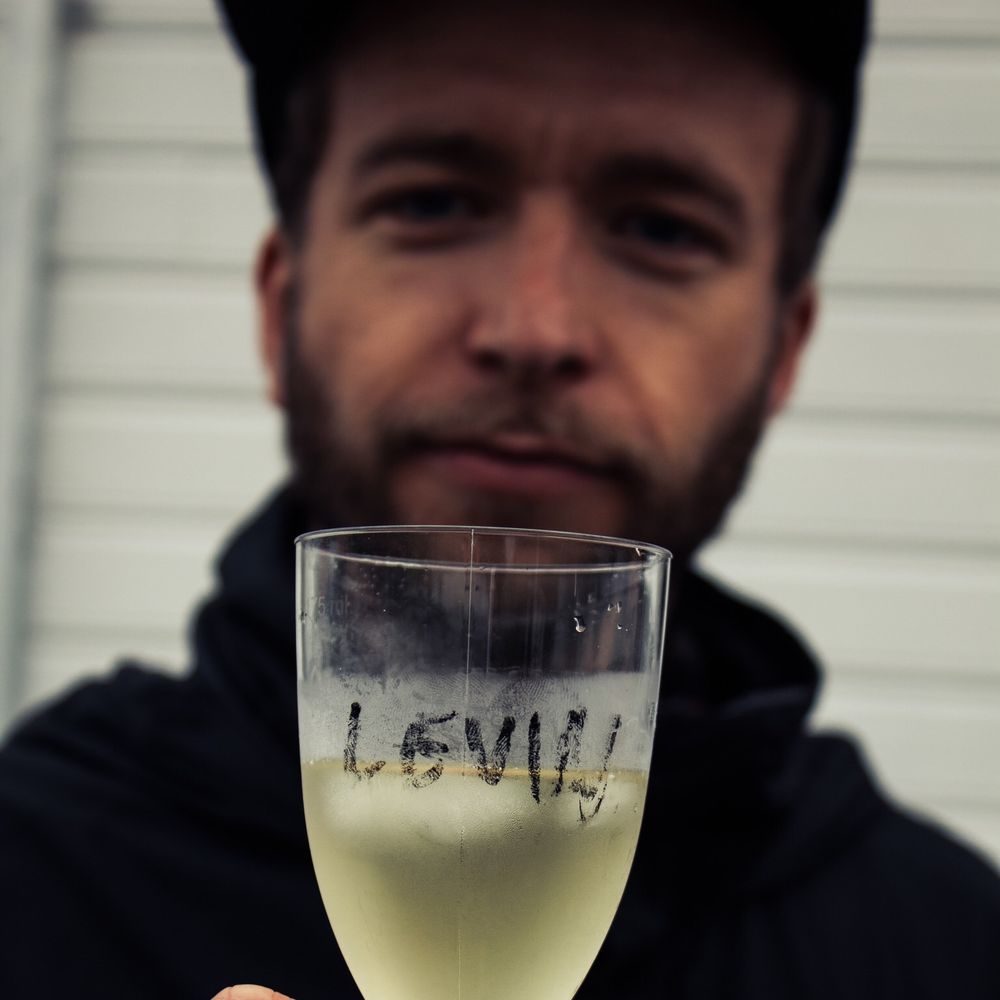 Levin Vogt