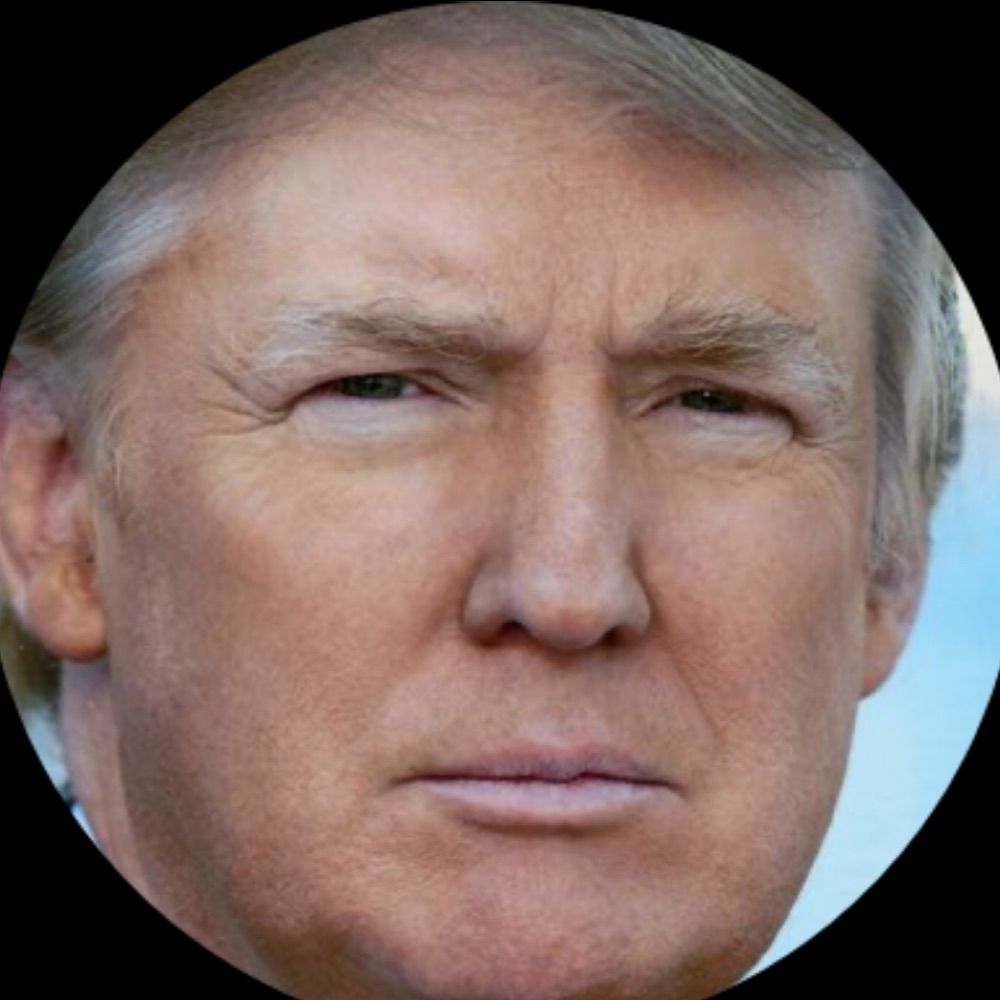President Trump (Parody)