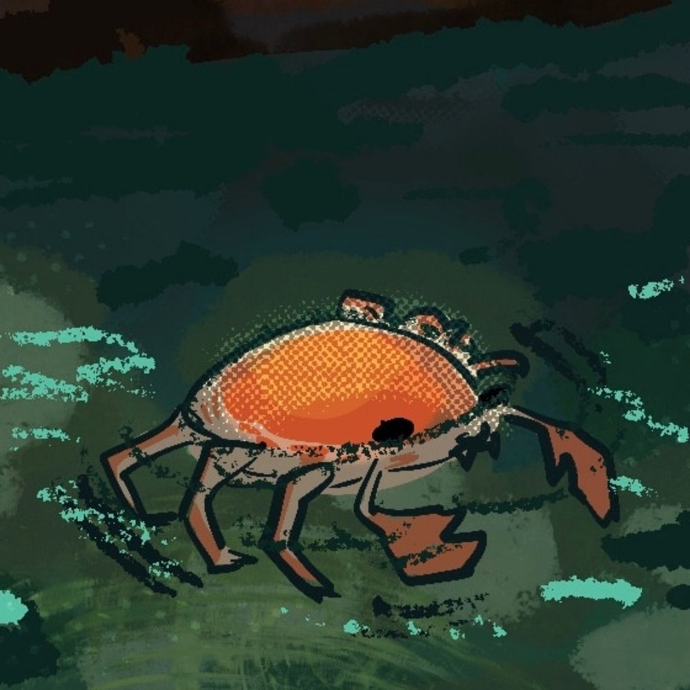 Moonwalking Crab 🌙🦀