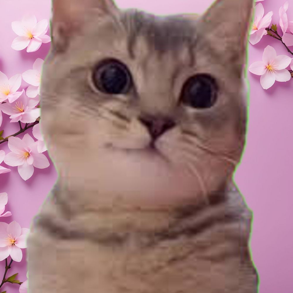 皐月賞猫