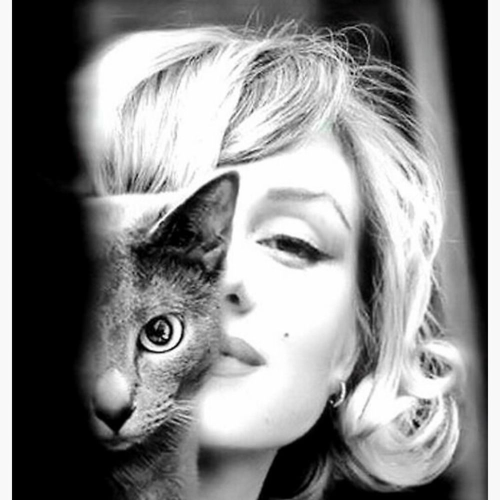 Girl With Cat