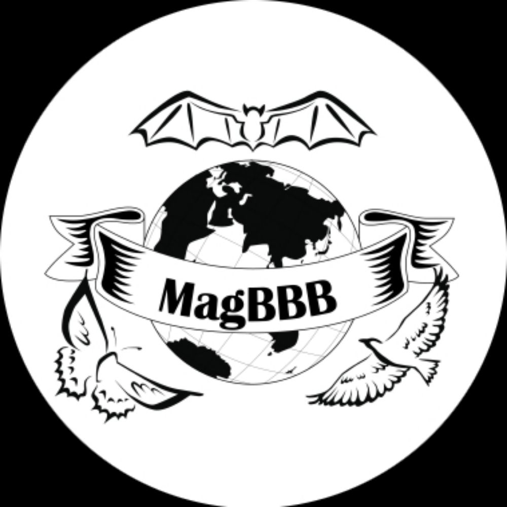 MagBBB Research Group