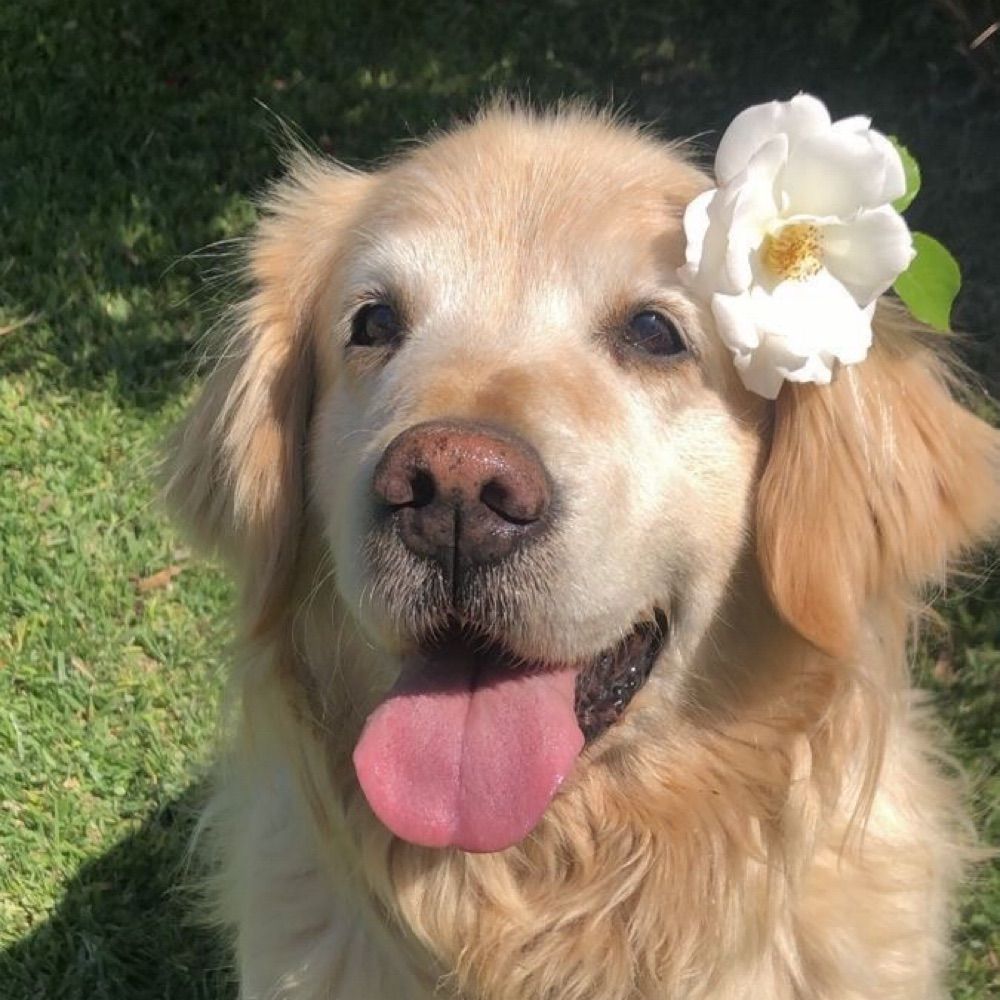 becca 🌷