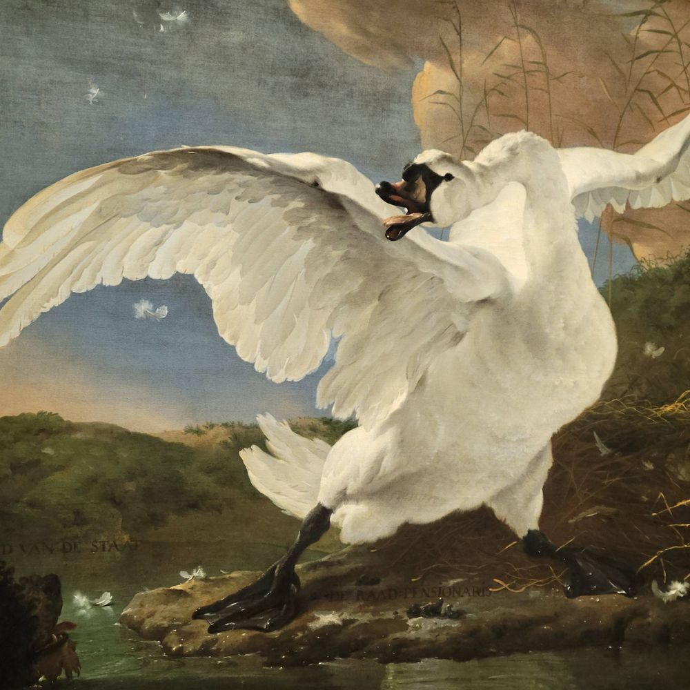 erinmissy.bsky.social