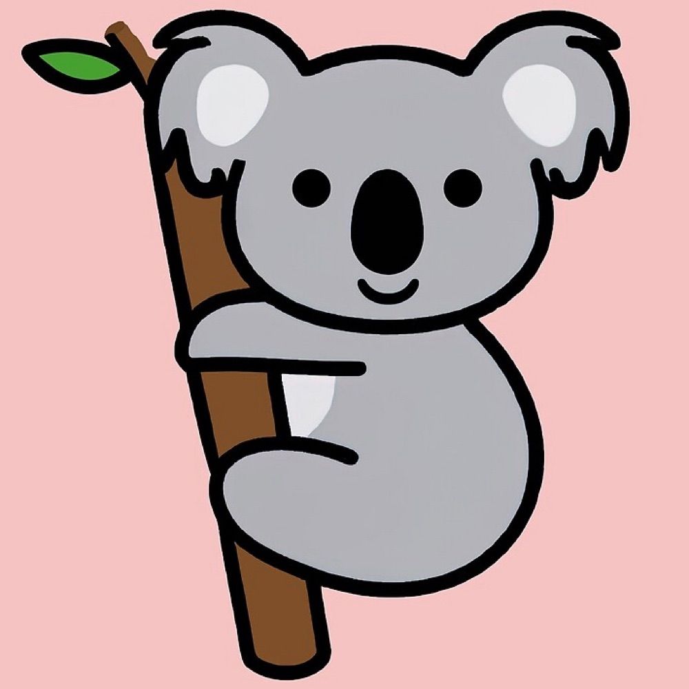 Koala Gris