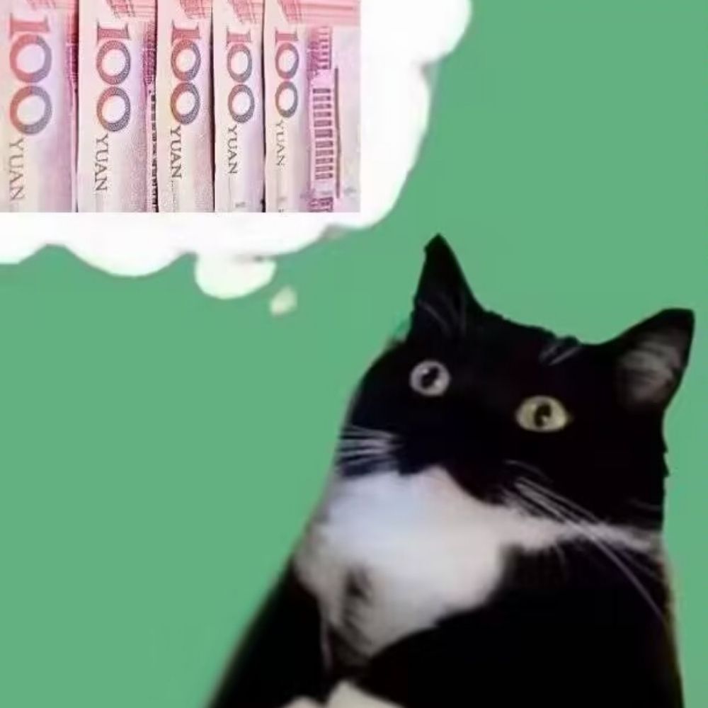 猫眼螺