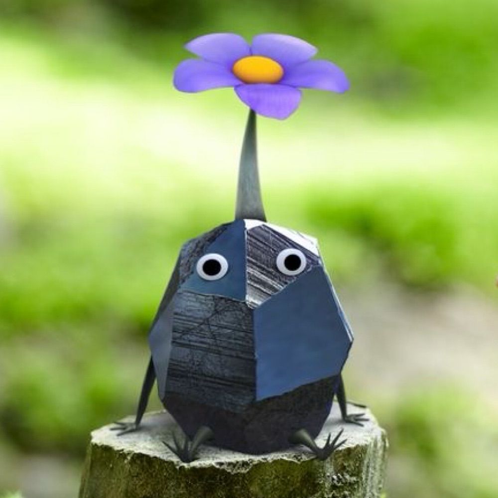 PIPA