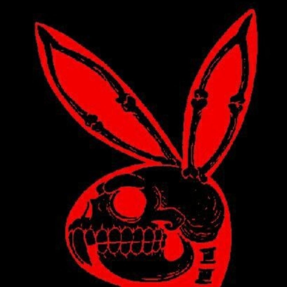 The. Rabbit