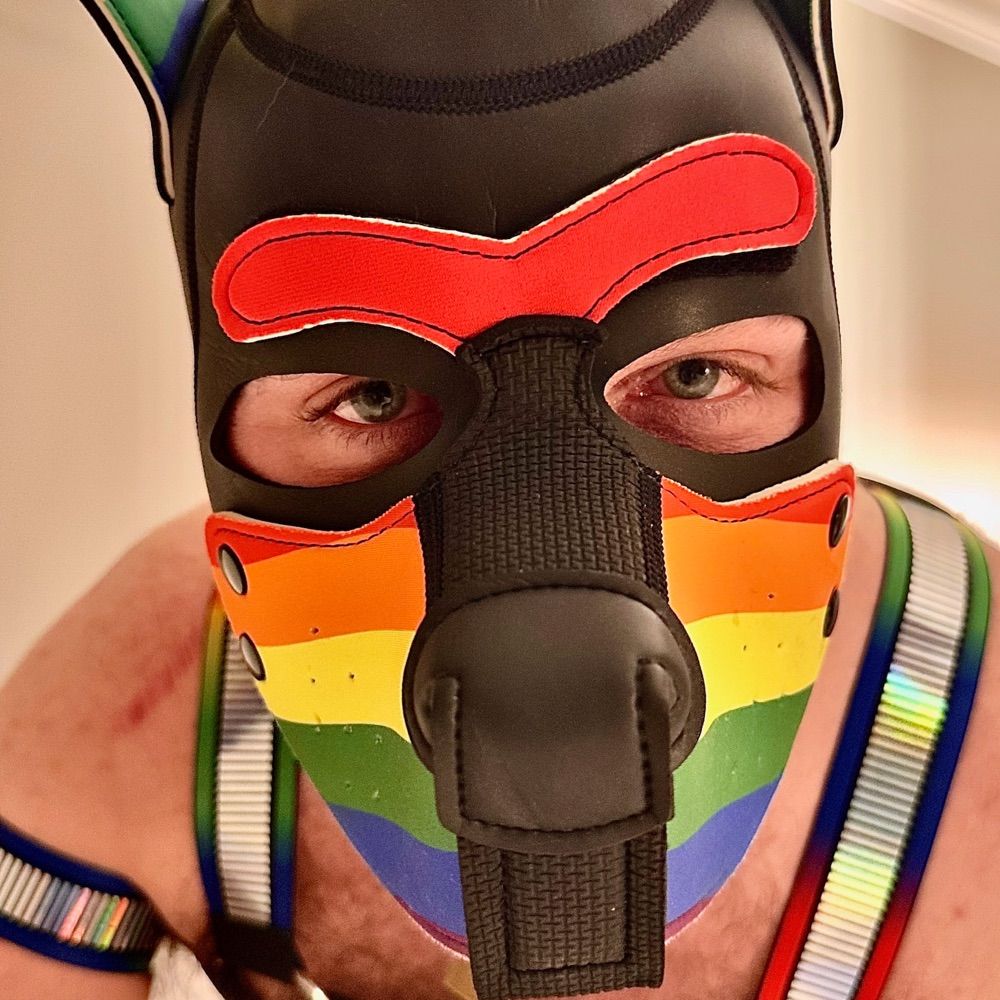 Puppy Saenas Rann