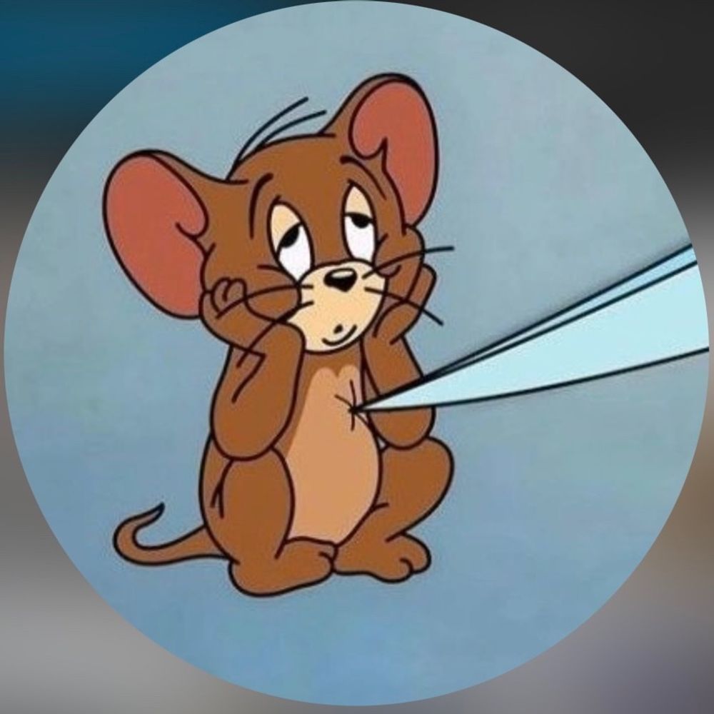 dr.şef