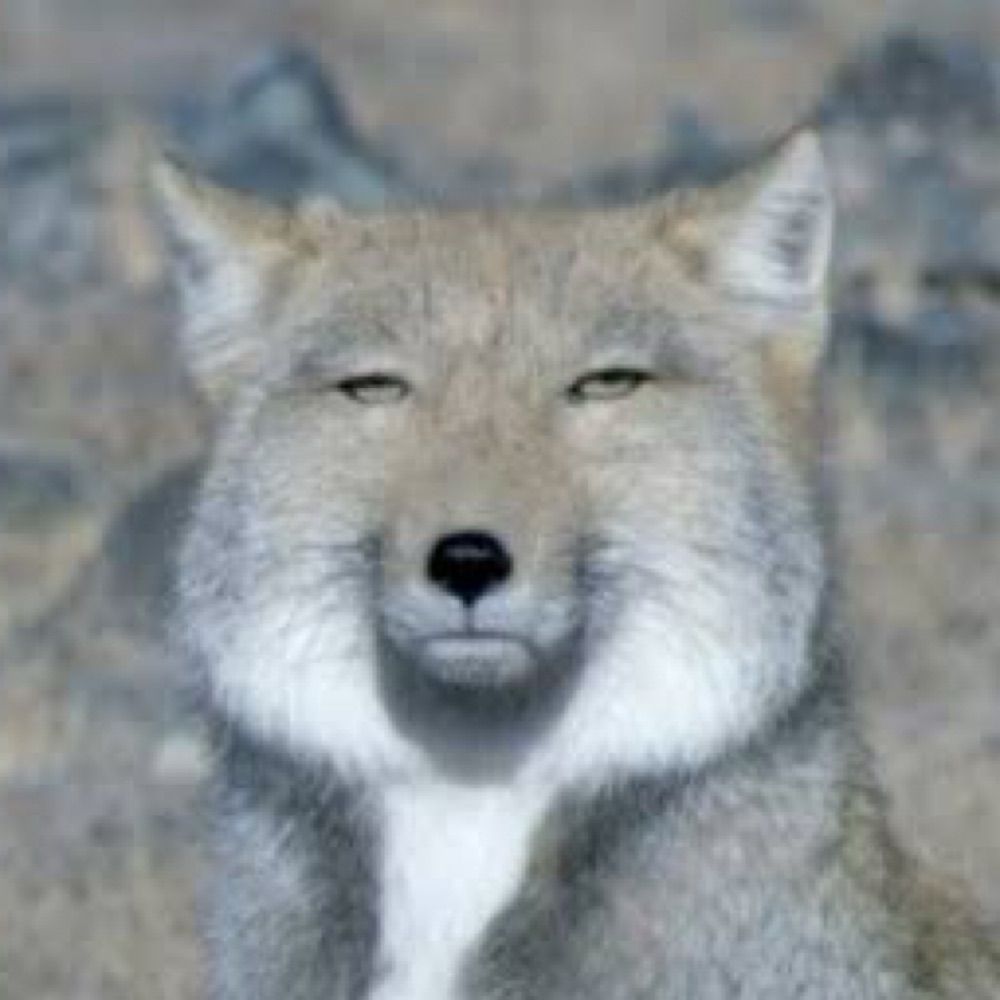 今見かなた