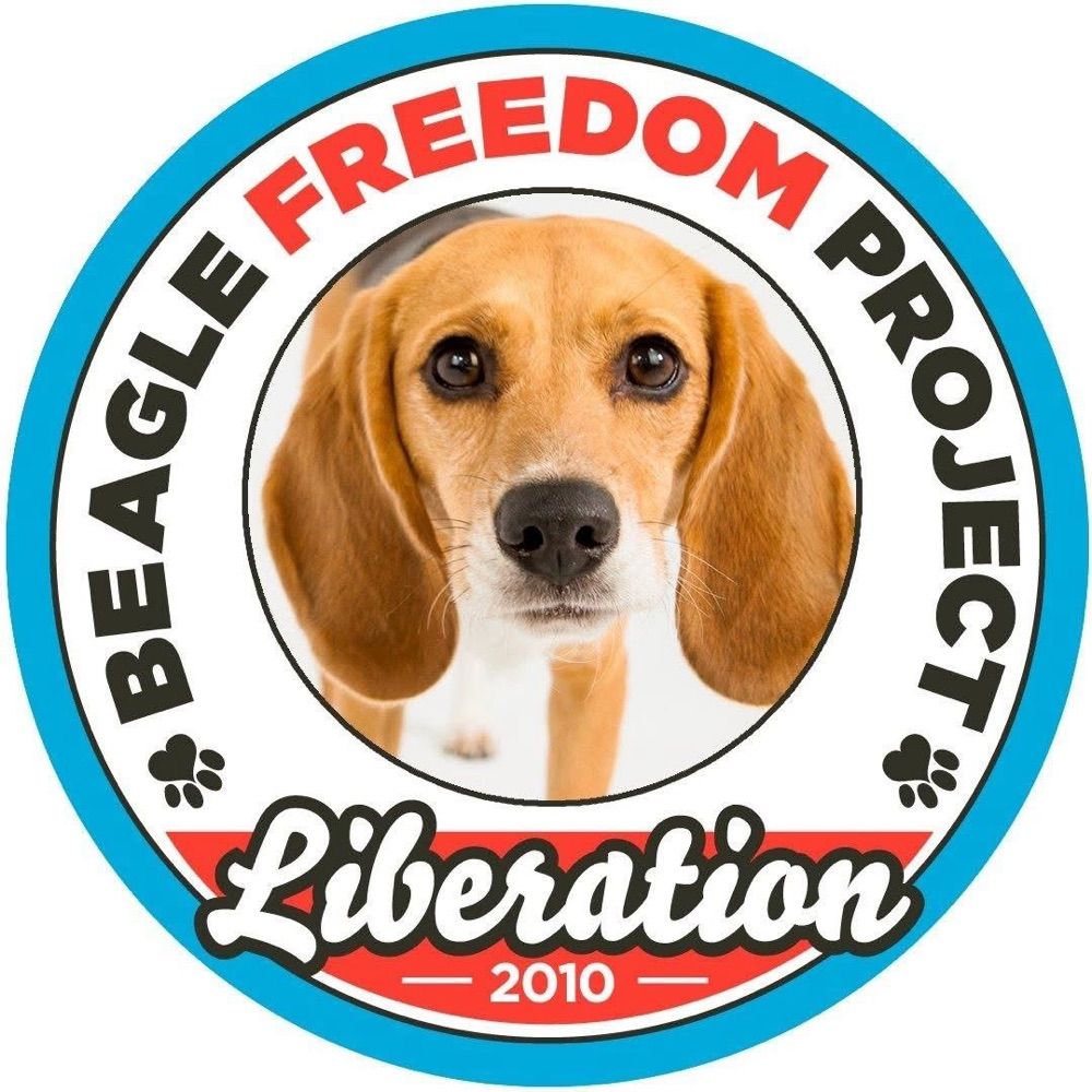 Beagle Freedom Project