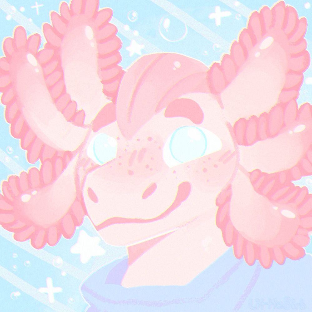 Axo • Comms Open