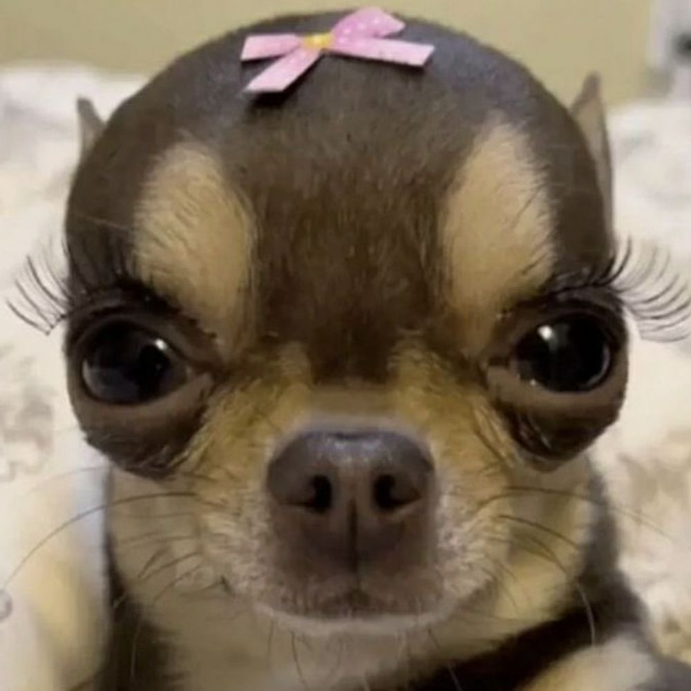 이제이